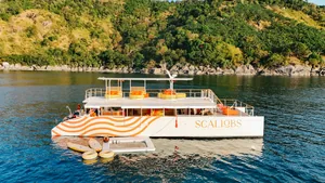 Scallobs 65 Scallobs 65